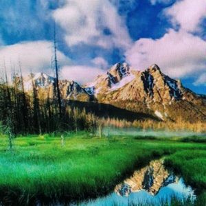 Meet your Posher, Phillip